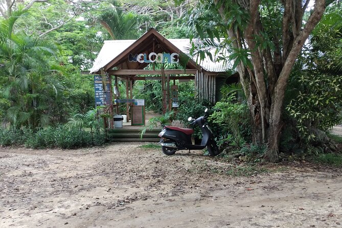 Negril Private and Public Beach with Ricks Cafe from Montego Bay - Rick’s Cafe and the 35-foot cliff finale