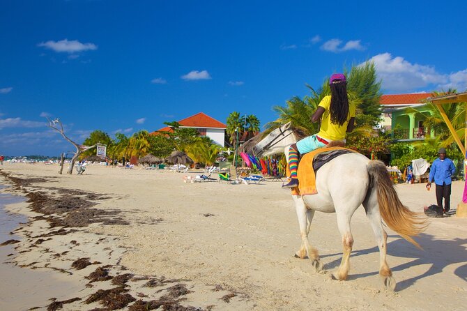 Negril Seven Mile Beach & Ricks Cafe Combo Tour from Montego Bay - The private vehicle changes the value of the trip