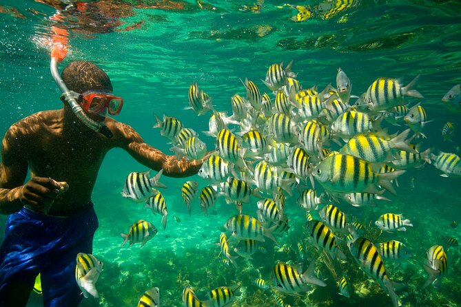 Negril Seven Miles Beach, Snorkeling, Boat Ride, Ricks Cafe Combo - What $200 per person really buys