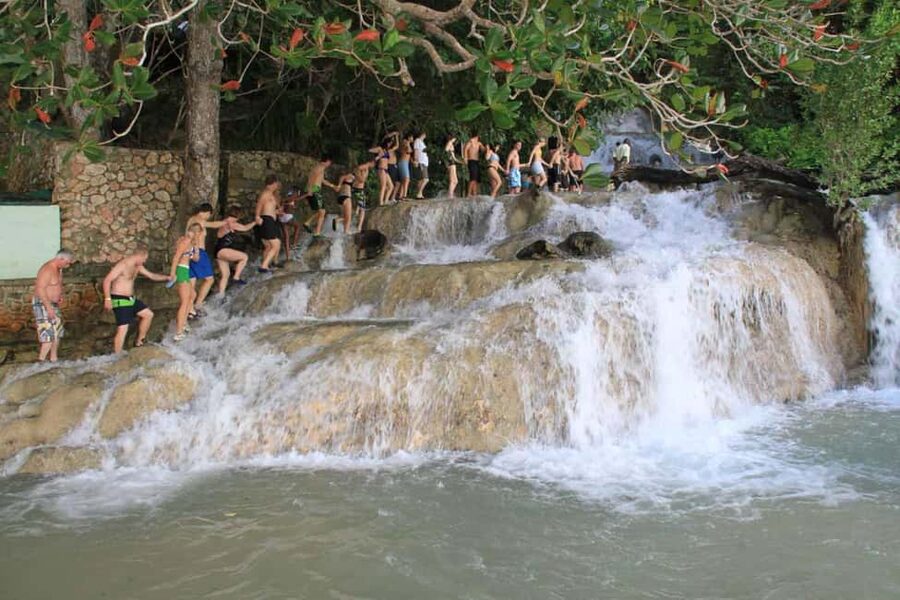 Ocho Rios: Blue Hole, Dunn’s River & Reggae Hill Guided Tour - Who should book this Ocho Rios tour?