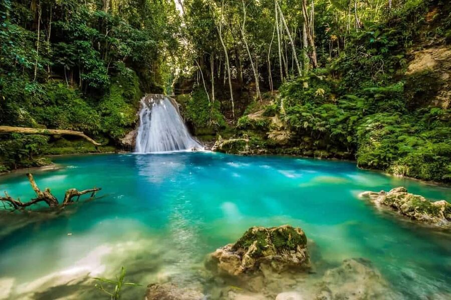 Ocho Rios: Blue Hole, White River Tubing, and Horseback Ride - Island Gully Falls and the Blue Hole