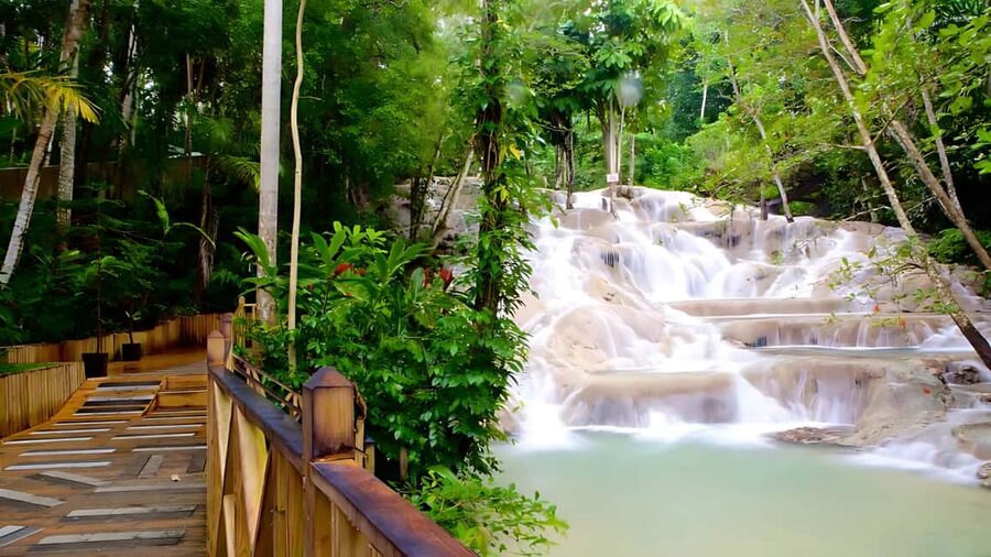 Ocho Rios Catamaran: Dunn's River, Snorkeling & Open Bar - Snorkeling in the Caribbean Sea
