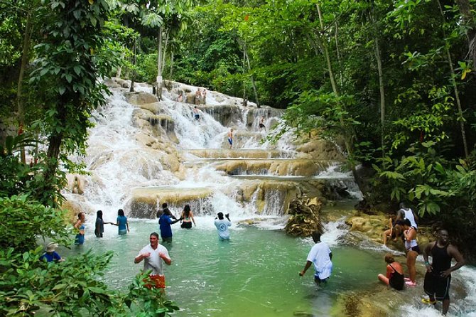 Ocho Rios Day Tour 3 in 1 Combo - What the $220 private tour really includes