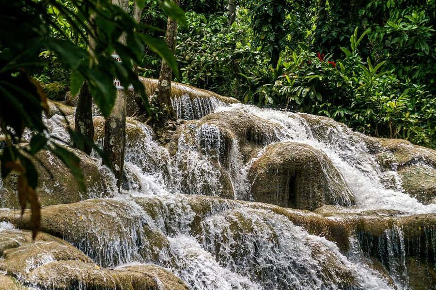 Ocho Rios: Dunn's River Falls and Shopping from Montego Bay - Key points at a glance