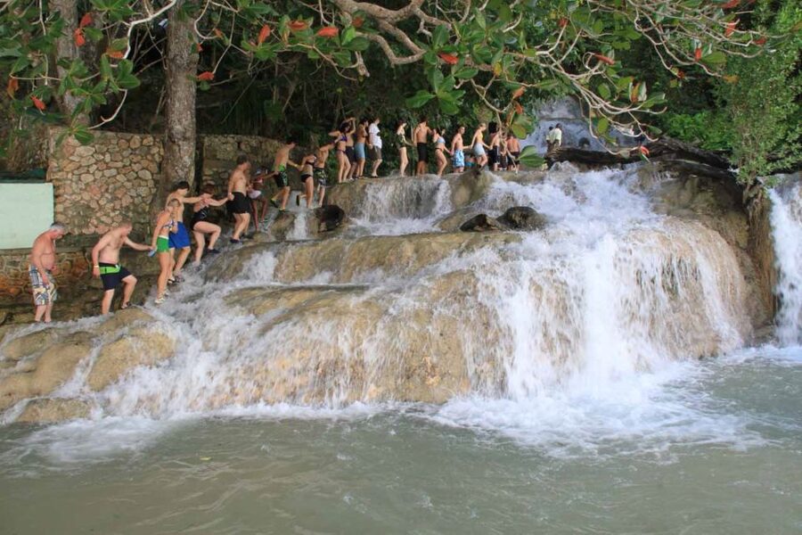 Ocho Rios: Dunn’s River Falls & Reggae Hill Tour - Who will enjoy this tour most?