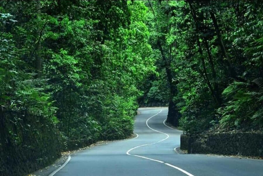 Ocho Rios: Guided Sightseeing Tour - Food, safety, and the guide’s role