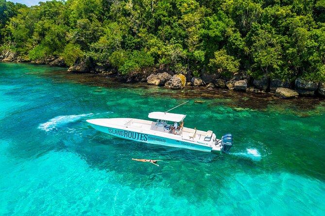 Ocho Rios Powerboat & Dunn’s River Falls Adventure - Jamaican lunch and what the price covers