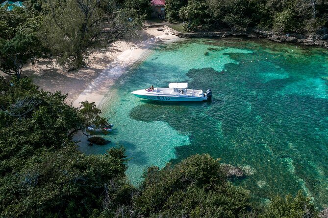 Ocho Rios Powerboat & Dunn’s River Falls Adventure - Hotel pickup makes the morning easier