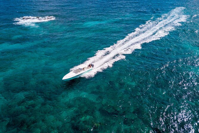 Ocho Rios Powerboat & Dunn’s River Falls Adventure - Weather, water, and the day’s physical demands