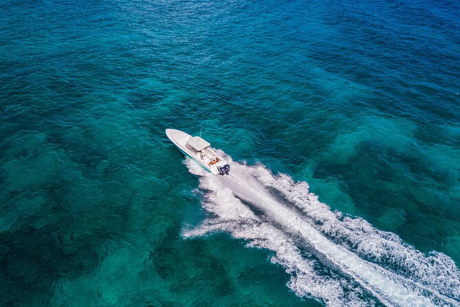 Ocho Rios Powerboat & Dunn’s River Falls Adventure - What the strongest praise tells you