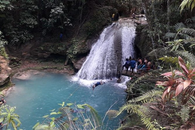 Ocho Rios River Tour: Blue Hole, Dunn's River and Tubing - Who will enjoy this Ocho Rios tour?