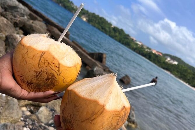 Ocho Rios Sightseeing Tours and Shopping - A private ride instead of a packed coach