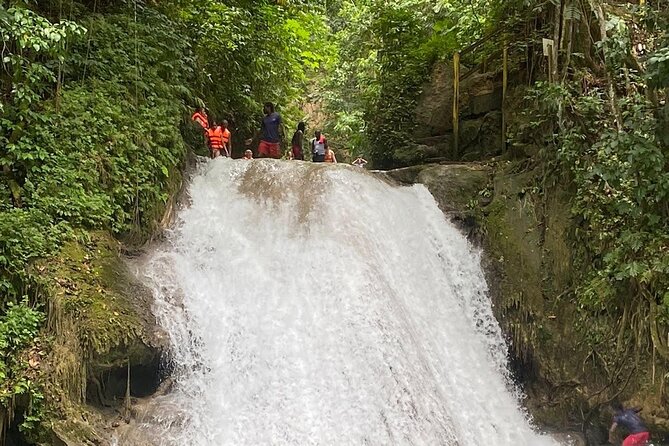 Original Blue Hole St. Ann Ocho Rios Jamaica Admission Fee Ticket - Entering the Rainforest Near Ocho Rios