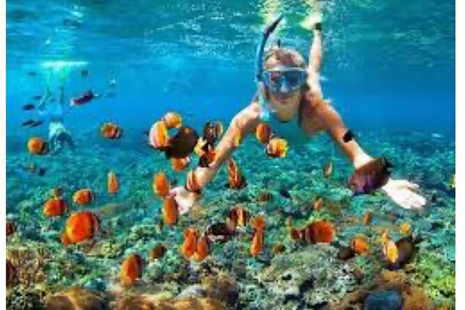 Party Catamaran and Snorkeling Tour in Montego Bay - Margaritaville as the weather alternative