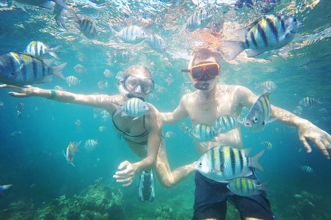 Party Catamaran Cruise with Open Bar and Snorkeling Montego Bay - The snorkeling stop near the reef