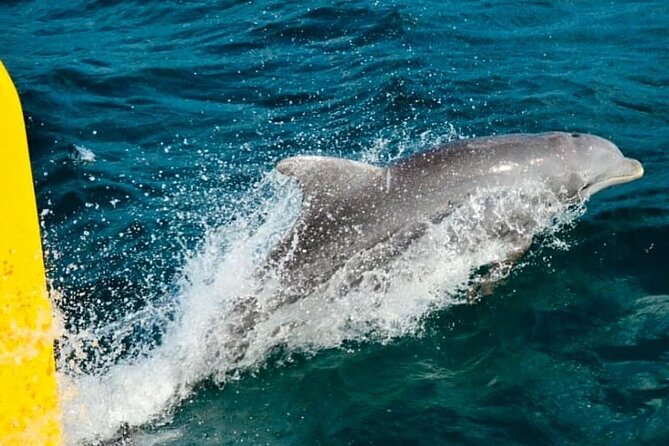PARTY Catamaran Cruise with Snorkeling Rick's Cafe ADULTS ONLY - Rick’s Café, cliffs, and the sunset hour