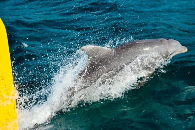 Party Catamaran: OpenBar, Music, Negril Beach, Caves, Snorkeling - Snorkeling conditions can change the experience