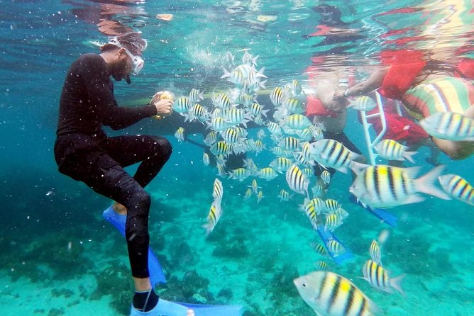 Party Catamaran: OpenBar, Music, Negril Beach, Caves, Snorkeling - Weather is the biggest wildcard