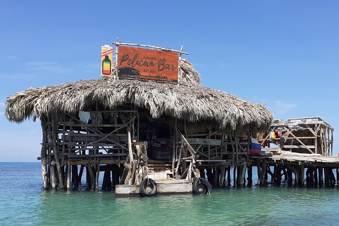 Pelican Bar and Black River Hi light Tour - Five things to know before you book
