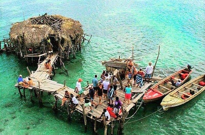 Pelican Bar and Ys Falls Private Tour - Who will enjoy this private South Coast outing