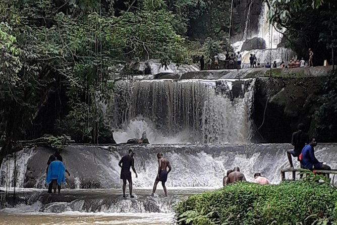 Pelican Bar, Appleton Rum Tour, YS Falls Jamaica south coast experience Montego - Is $300 per person fair value?