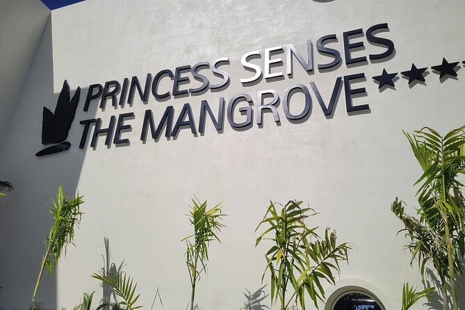 Princess Senses The Mangrove Airport Transfers - The driver can shape the first hour