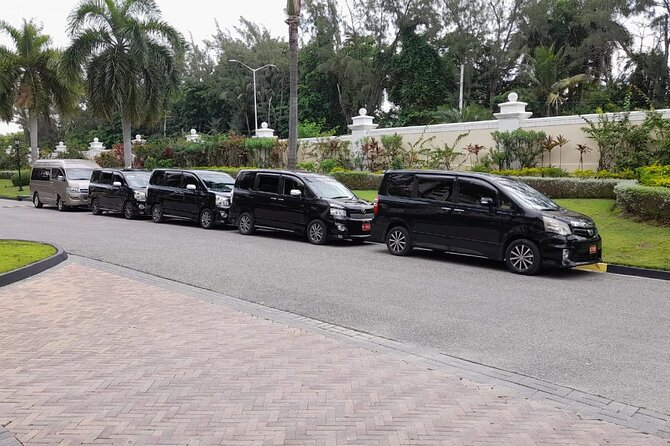 Princess Senses The Mangrove from Montego Bay Airport Transfer - Key points at a glance
