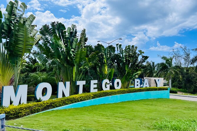 Private Airport Transfer to Excellence, Ocean Coral and Royalton - Key points to know before you book