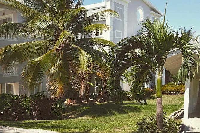 Private Airport Transfer to Lady Hamilton and Grand Palladium - Private vehicles, group size, and comfort