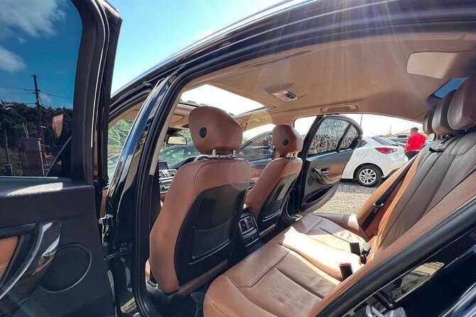 Private Airport Transfer to Trelwany Hotels in Jamaica - What the driver service adds