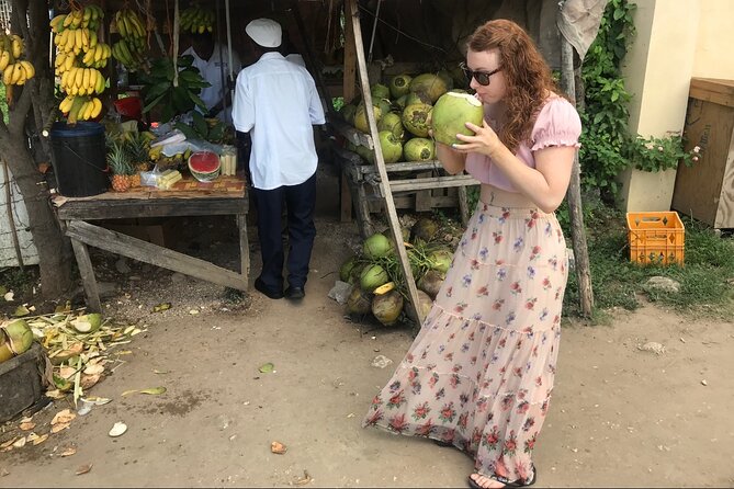 Private and Customize Highlight Tour to Montego Bay from Falmouth - Key points to know before booking