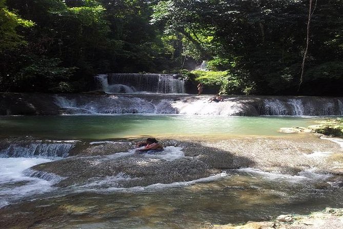 Private Appleton Estate Rum & YS Falls Tour from Montego Bay - What the private format changes
