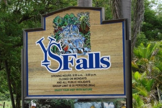 Private Appleton Estate Rum & YS Falls Tour from Montego Bay - Practical tips for a smoother day