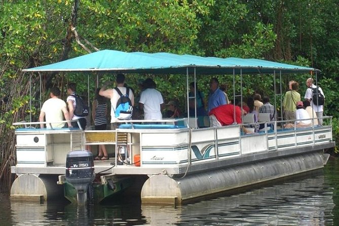 Private Black River Safari Tour from Montego Bay - Key points at a glance