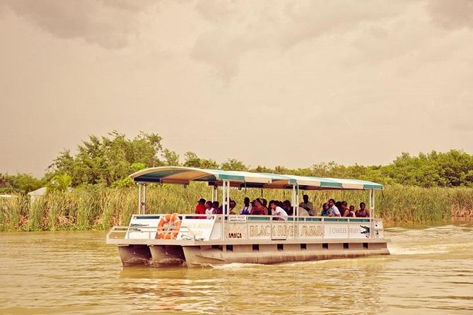 Private Black River Safari Tour from Montego Bay - Why the Black River is worth the drive
