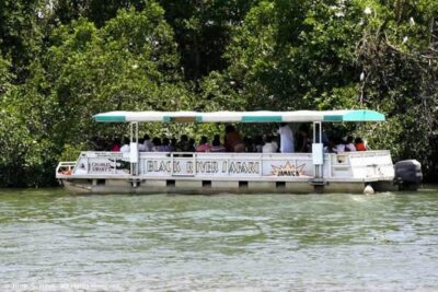 Private Black River Safari Tour from Montego Bay