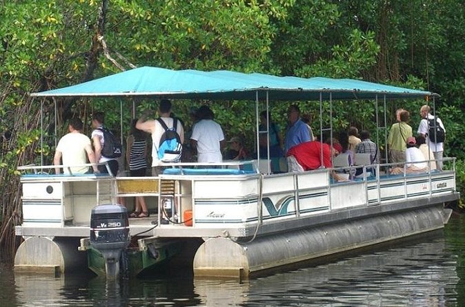 Private Black River Safari Tour from Montego Bay - Crocodile viewing and the extra nursery visit