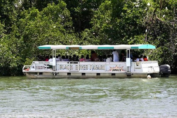 Private Black River Safari Tour from Montego Bay - Arriving at the river by private vehicle