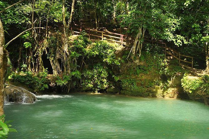 Private Blue Hole Tour from Montego Bay - What to pack for a wet half-day