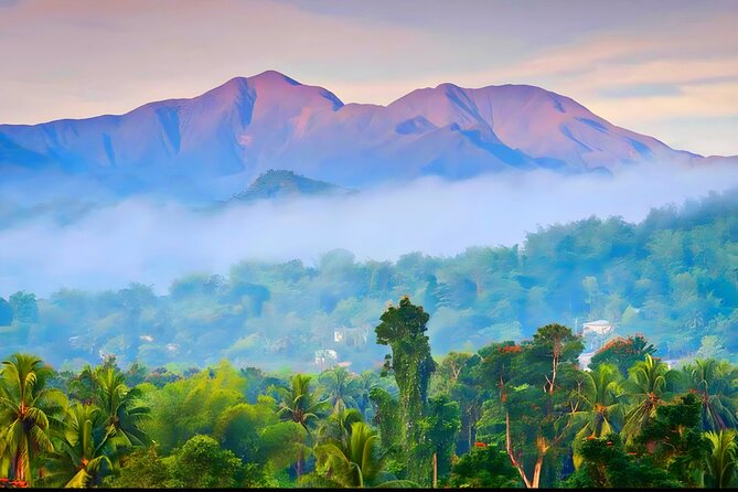 Private Blue Mountain tour from Ocho Rios - Key points to know before you book