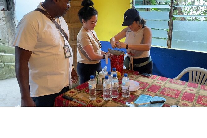 Private Blue Mountain tour from Ocho Rios - The biggest tradeoff: authentic or underdeveloped?