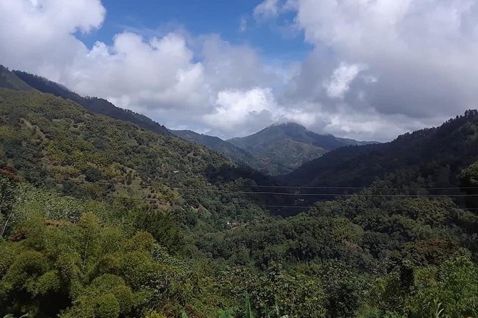 Private Blue Mountain tour from Ocho Rios - Entering the Blue Mountain valley