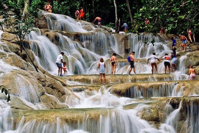 Private Bob Marley 9 mile & DunnsRiverFalls Tour from Montego Bay - Falmouth, Columbus Park, and the north coast