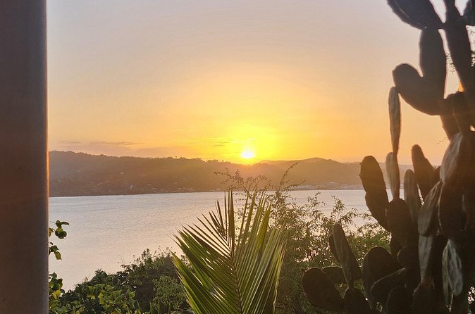 Private Car Tour to Negril Jamaica - What this private Negril day is really offering
