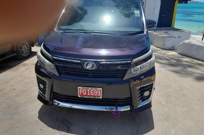 Private Car Tour to Negril Jamaica - A driver who can shape the day