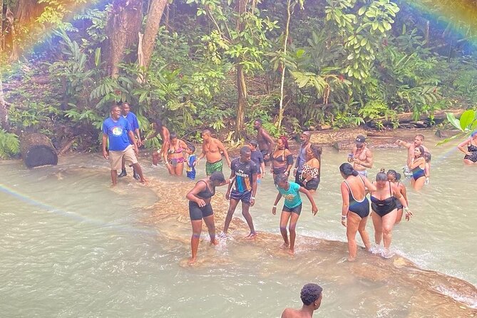 Private Dunn River Falls and Park Tour from Montego Bay - Climbing the 180-foot falls