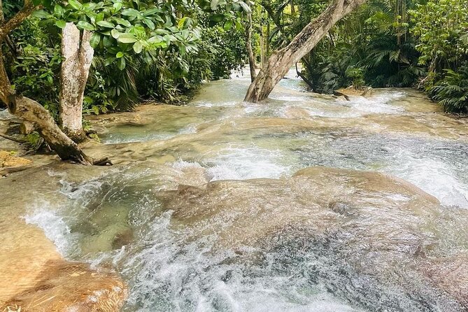Private Dunn River Falls and Park Tour from Montego Bay - What the $175 price really covers