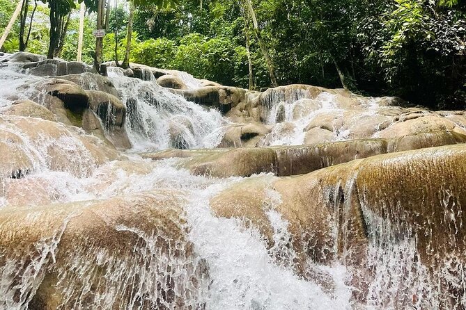Private Dunn River Falls and Park Tour from Montego Bay - How GNJ TOURS JA shapes the experience