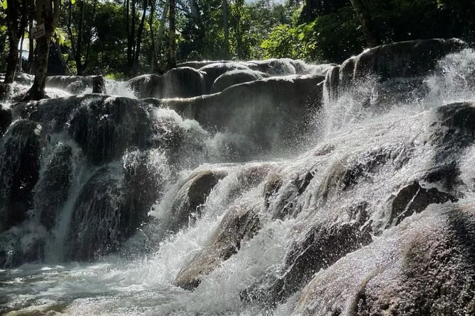 Private Dunn River Falls and Park Tour from Montego Bay - Who should book this Montego Bay tour