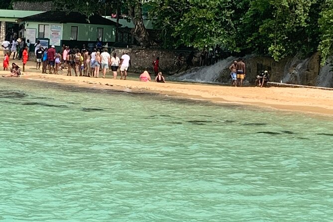 Private Dunn's River and Bamboo Rafting Combo from Ocho Rios - Floating the White River with reggae